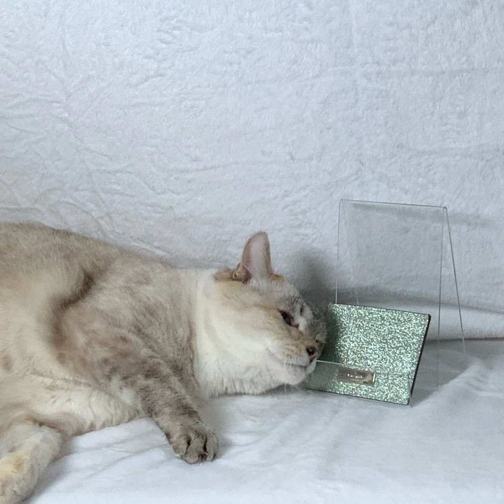 Kate Spade Sparkling Green Card Holder